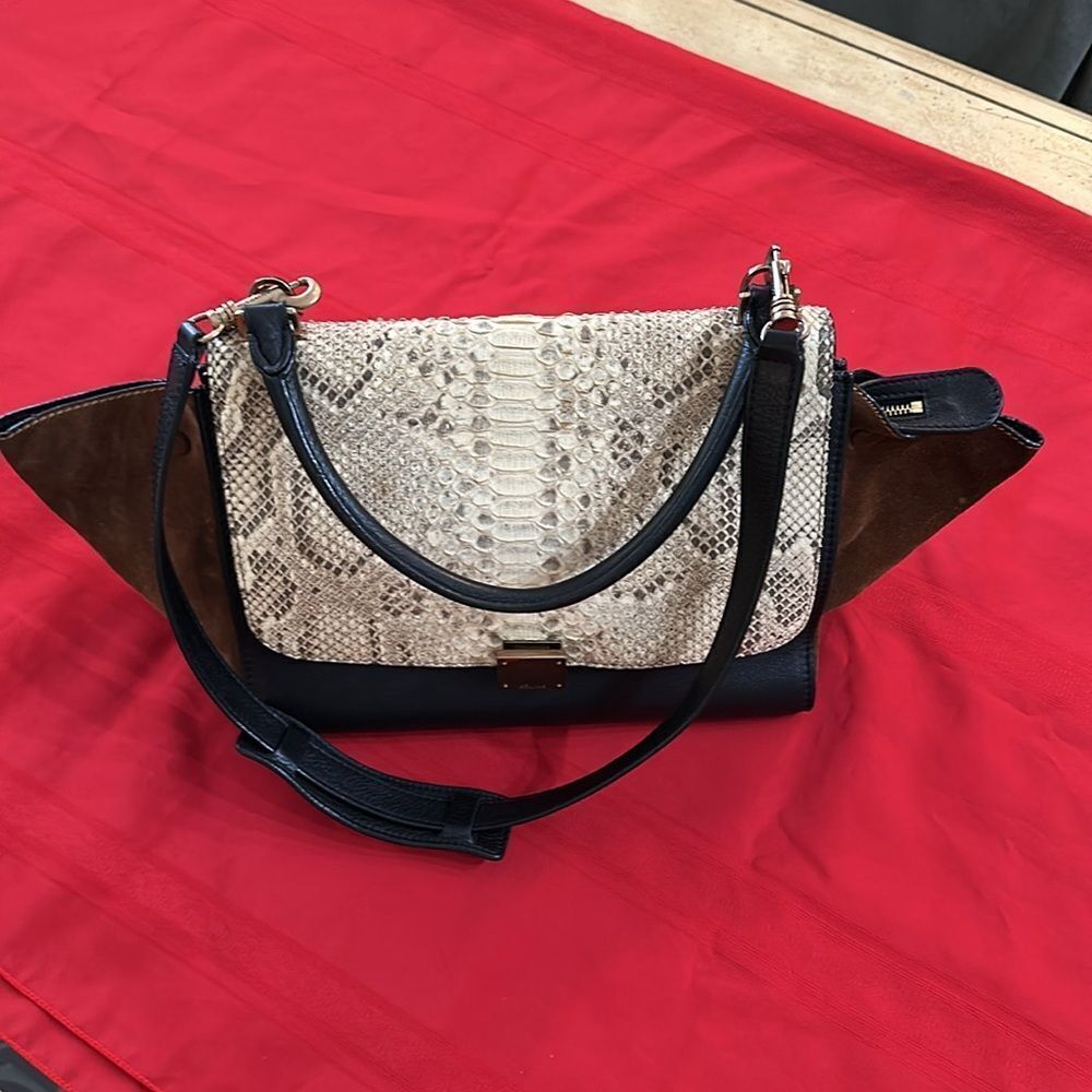 Authentic Celine Python Trapeze Bag - image 3